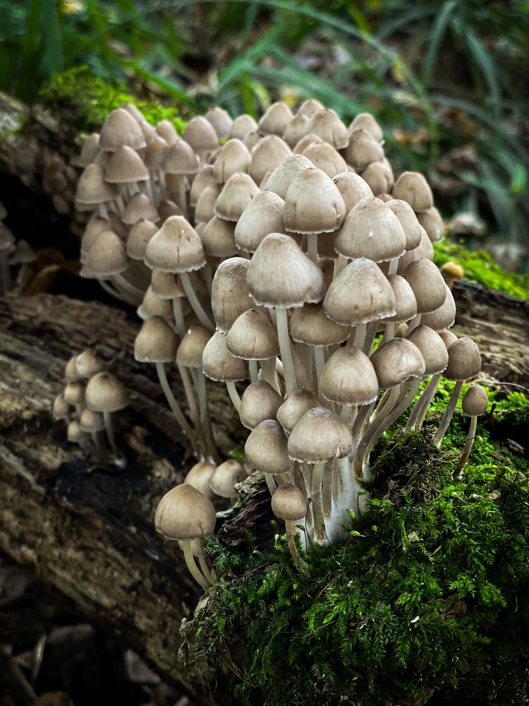 Photograph by Олеся Лагутина