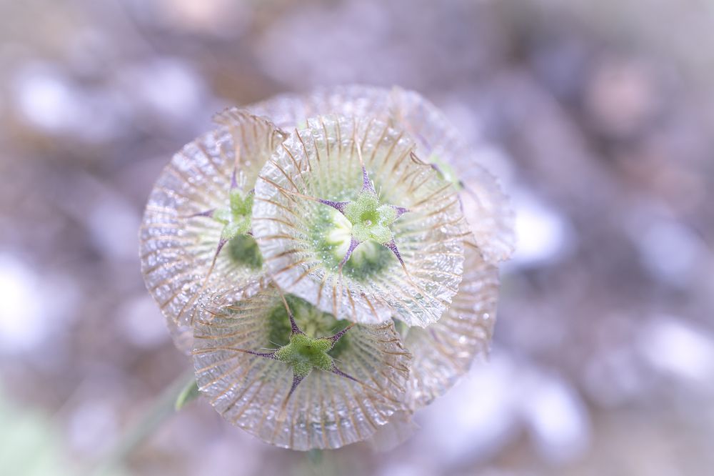 Photograph by Aldana Mucci