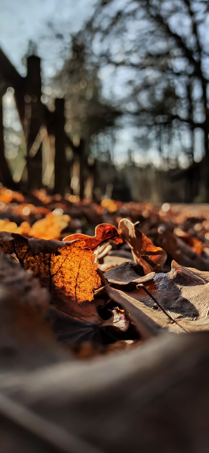 Photo #9563281