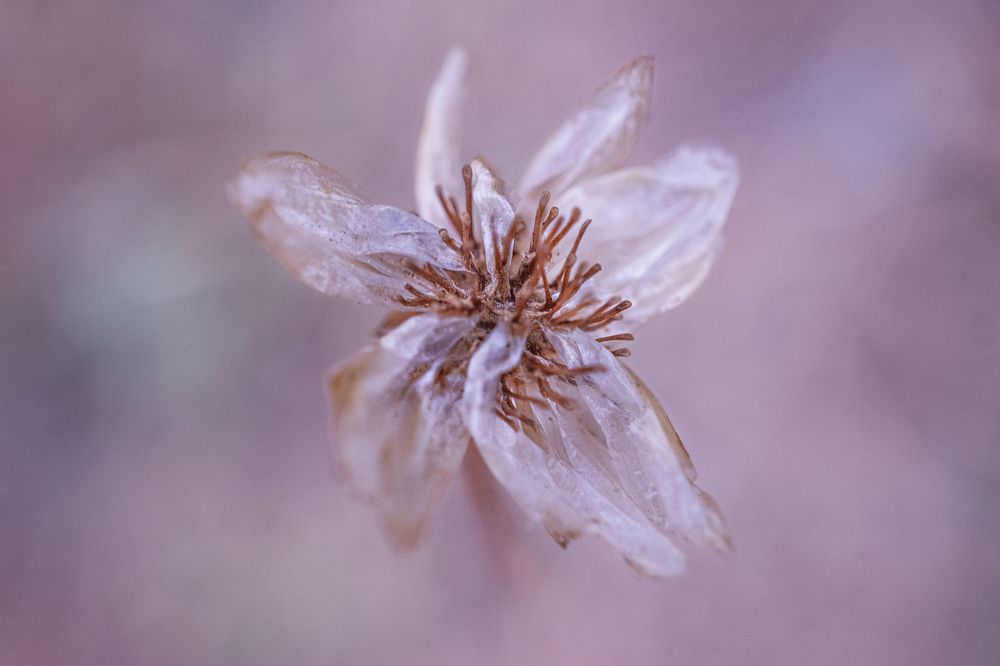 Photograph by Aldana Mucci