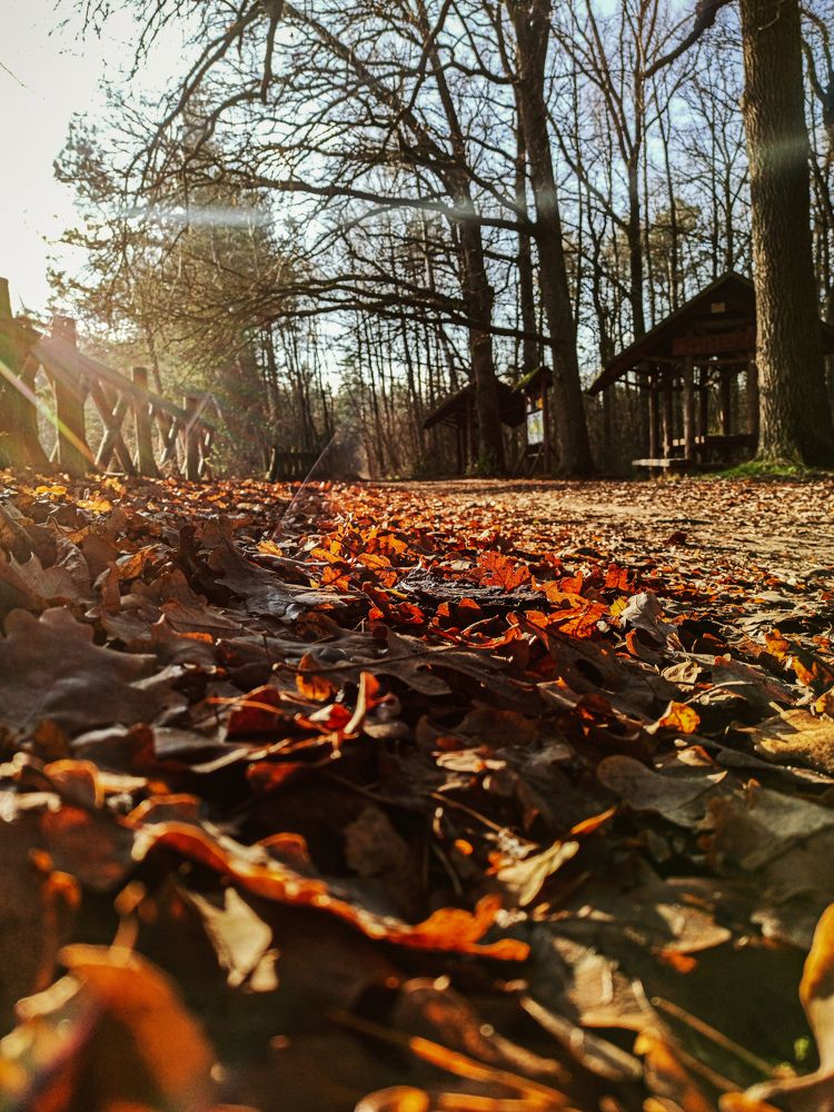 Photograph by Вадим Кумпяк