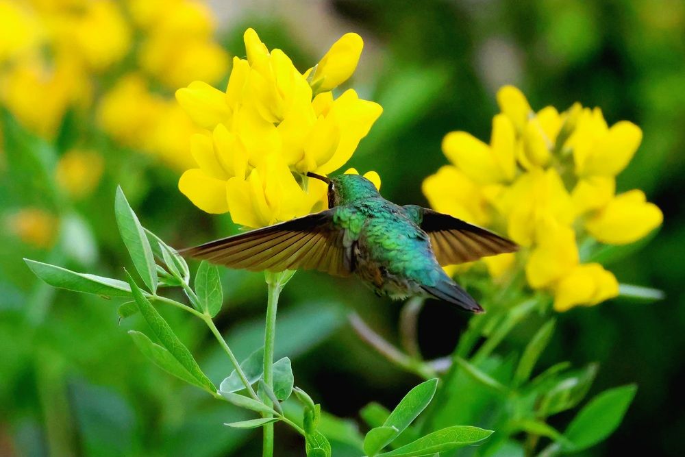 Photograph by Elaina Holland