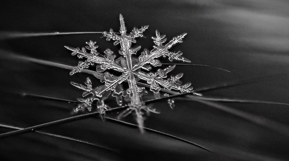 Снежинка в волосах