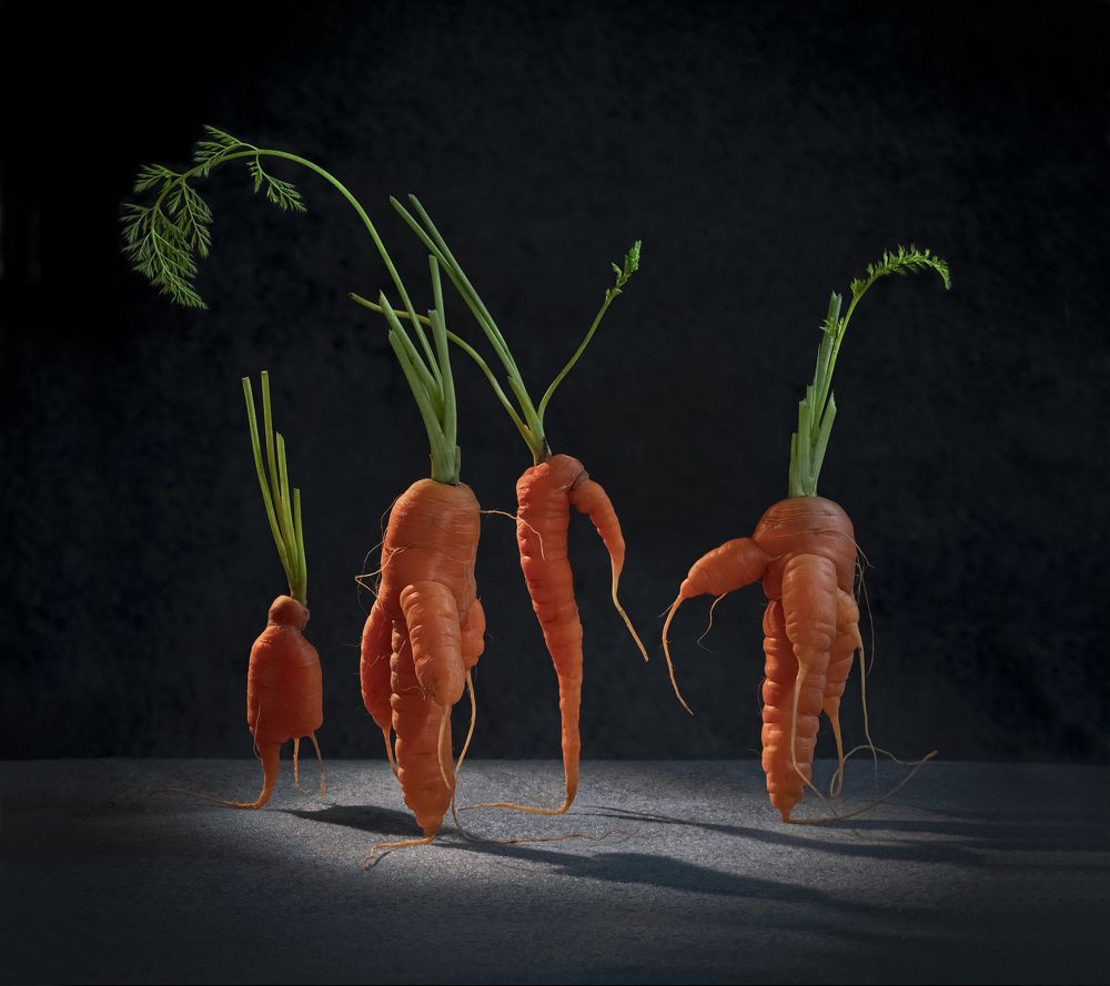 Фотография автора Черновол Валентин