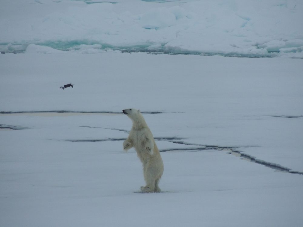 В каком ухе у меня жужжит?
