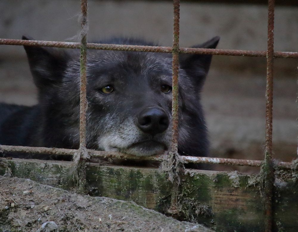 Photograph by Юлия Куликова