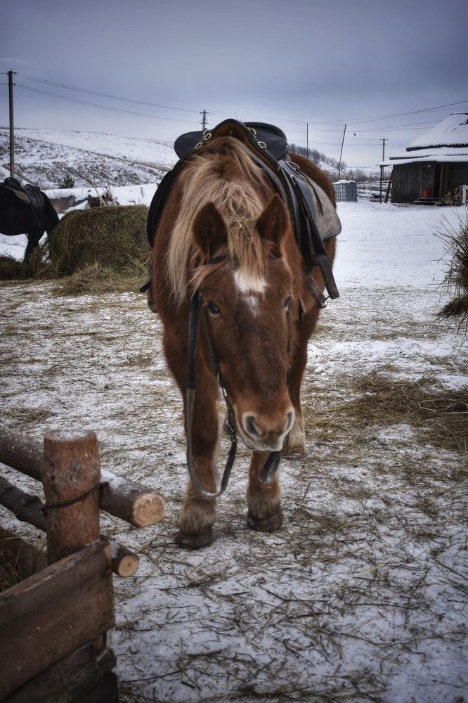 Photograph by Кира Бахвалова
