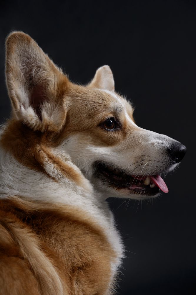 Photograph by Евгения Титова