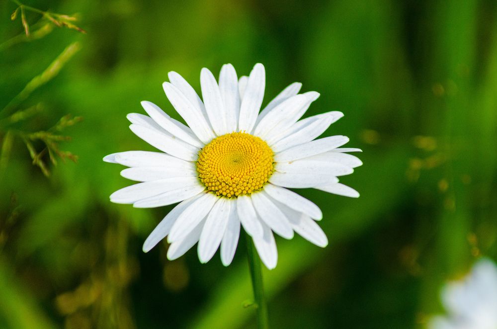 Photograph by Денис Кичев