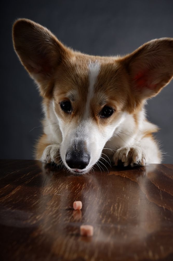 Photograph by Евгения Титова