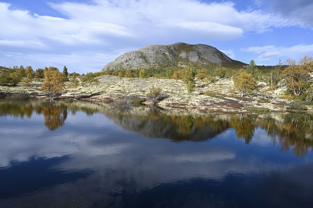 Transparency of autumn
