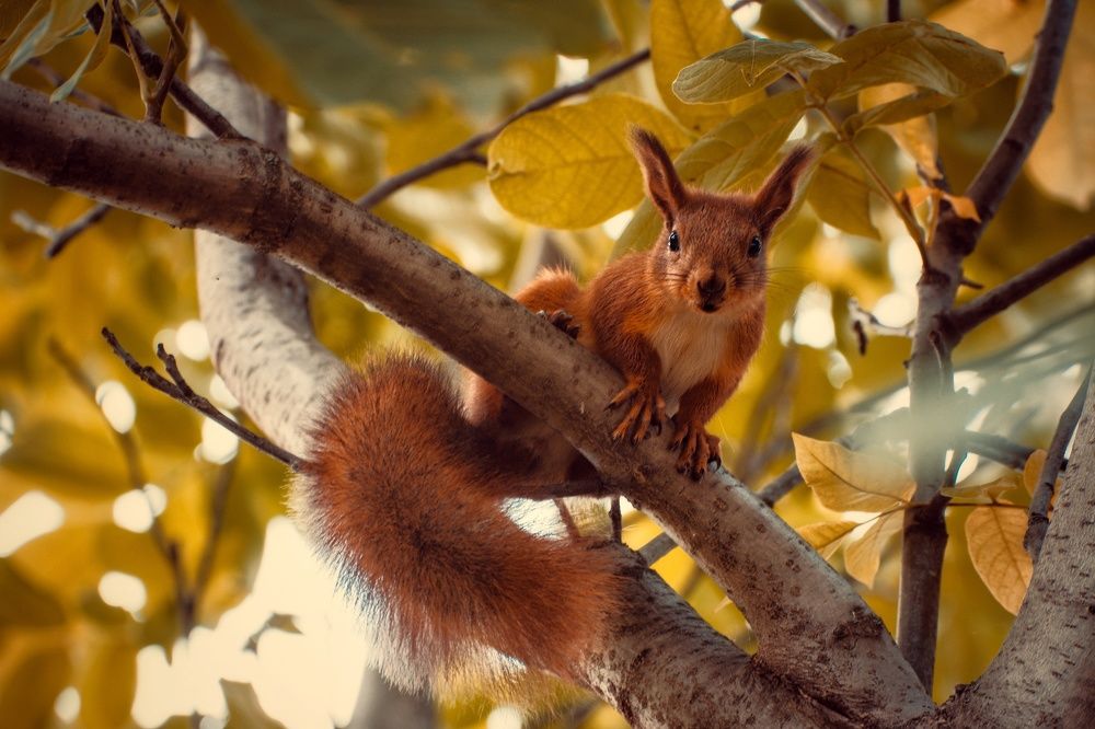 Photograph by Виктория Селютина