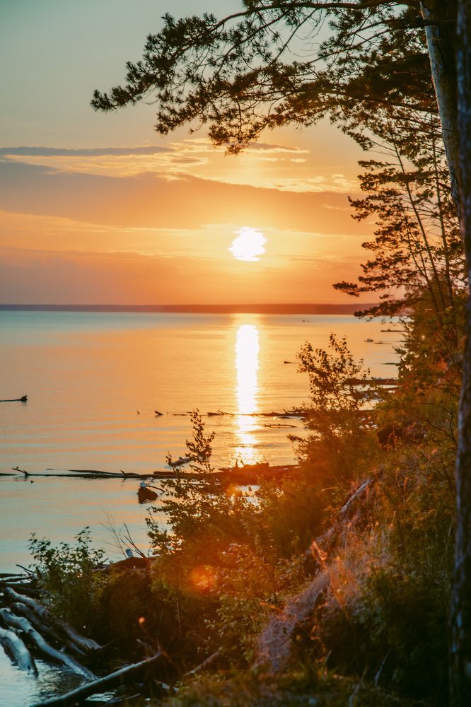 Photograph by Марина Соломонова