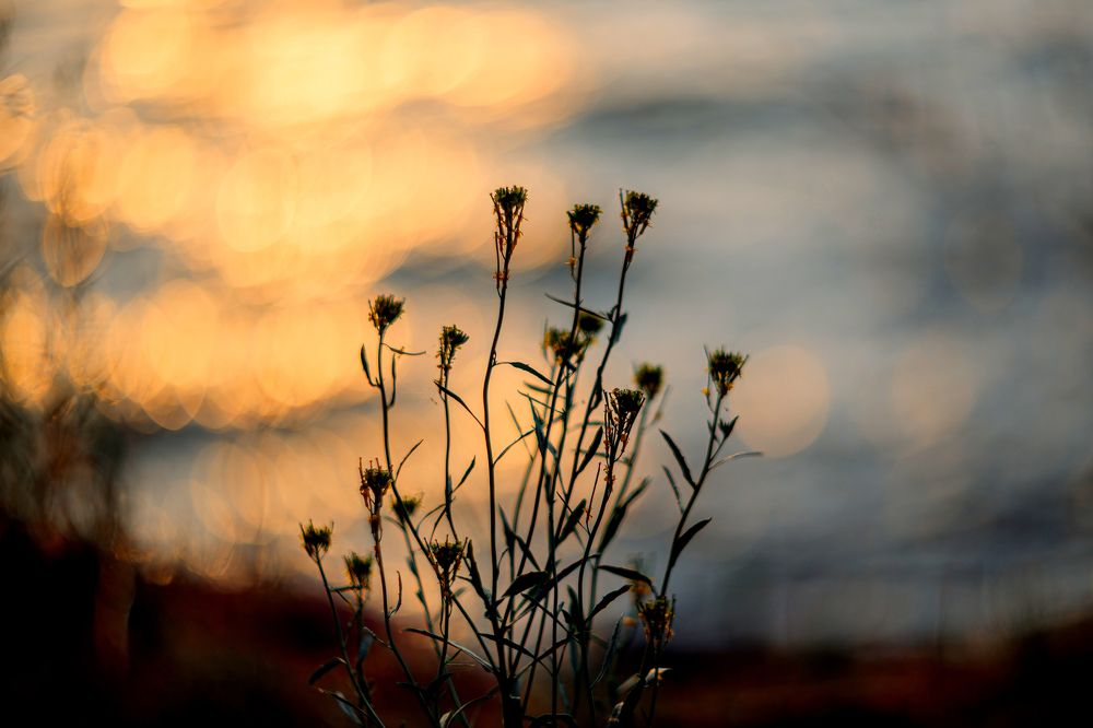 Photograph by Марина Соломонова