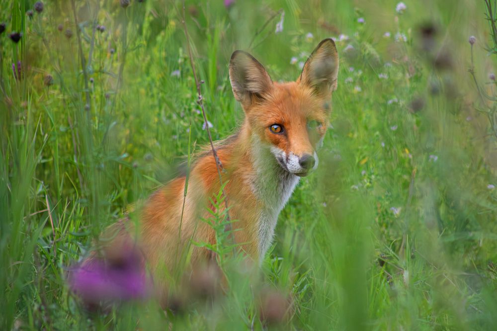 Photograph by Марина Соломонова