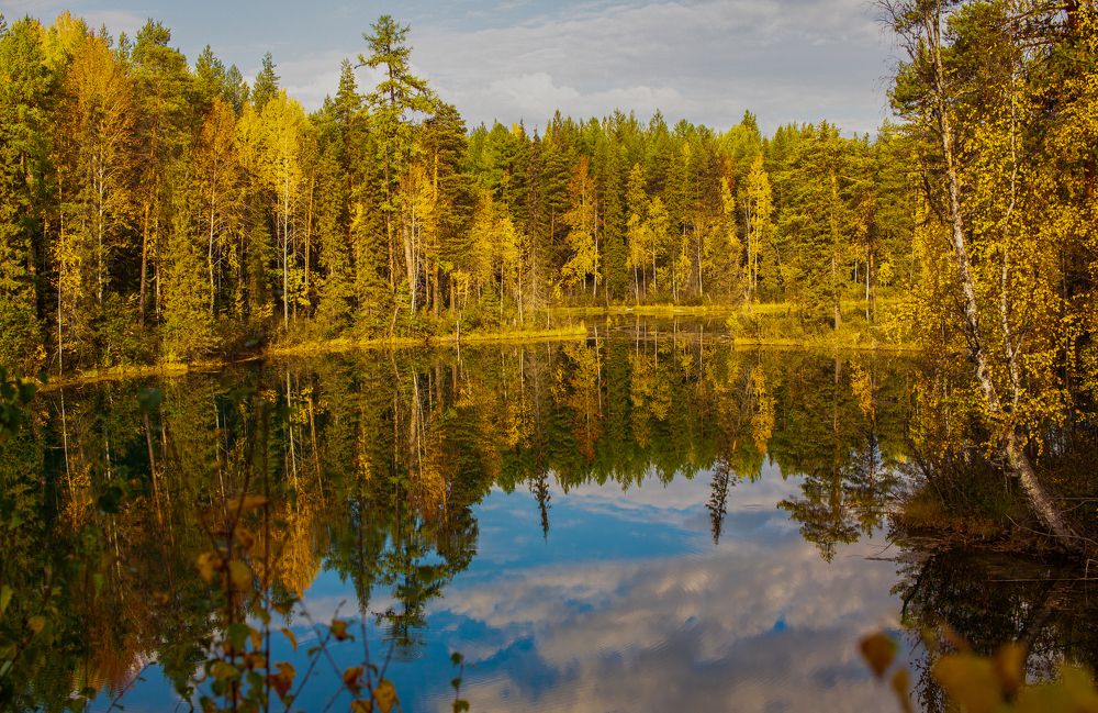 Photograph by Владимир Баженов