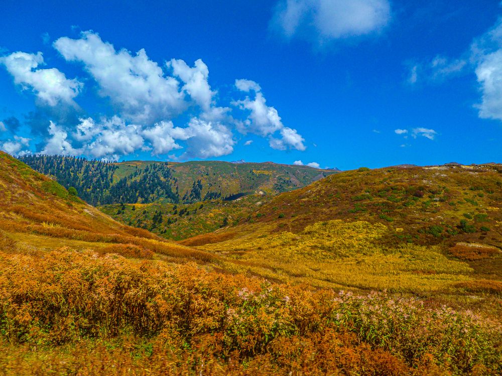 Photograph by Susobhan Biswas