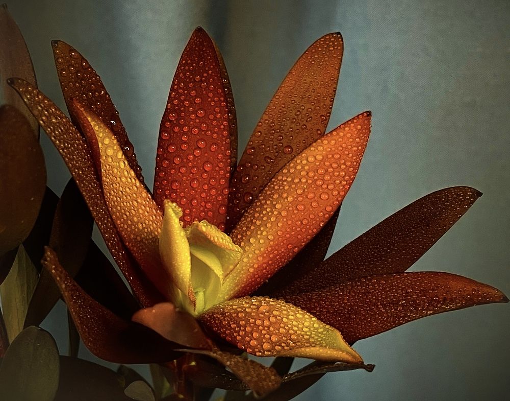 Photograph by Рамзия Хисамутдинова