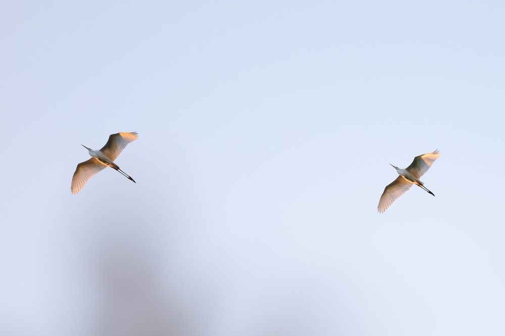 Photograph by Сергей Конюшенко