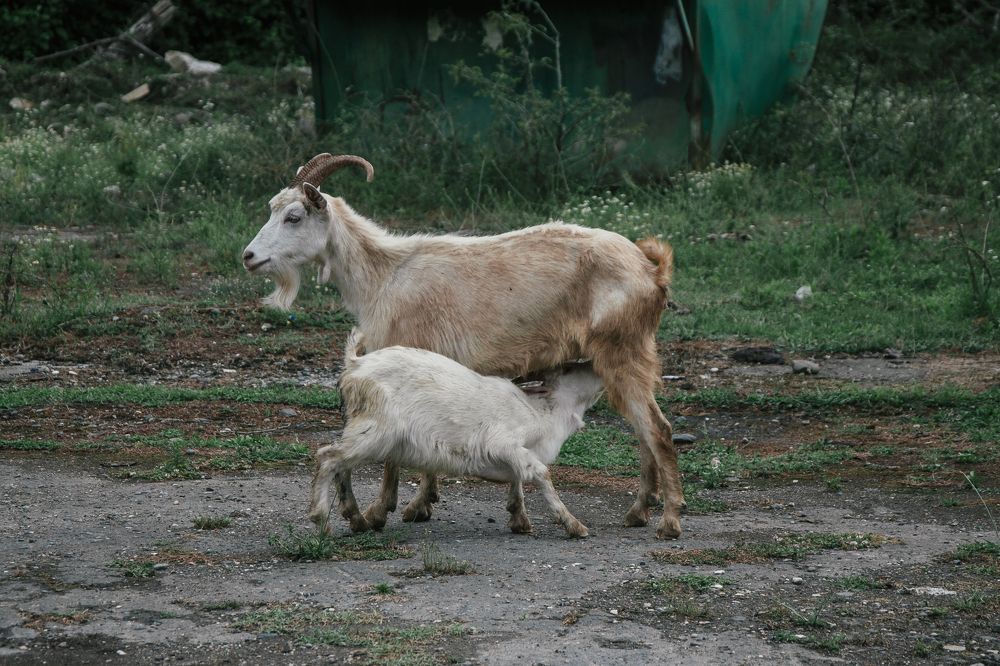 Photograph by Юлия Козельских