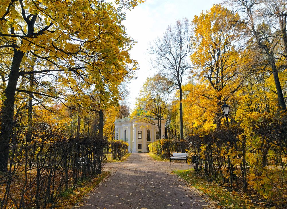 Photograph by Ольга Стоун