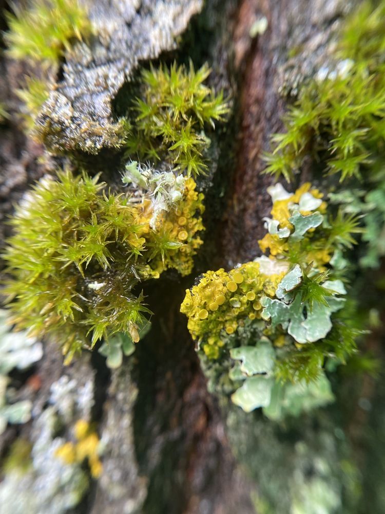 Photograph by Виктория Лаур