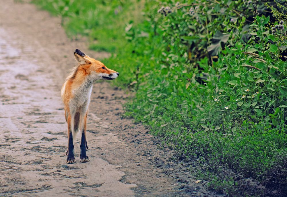 Photograph by Марина Соломонова
