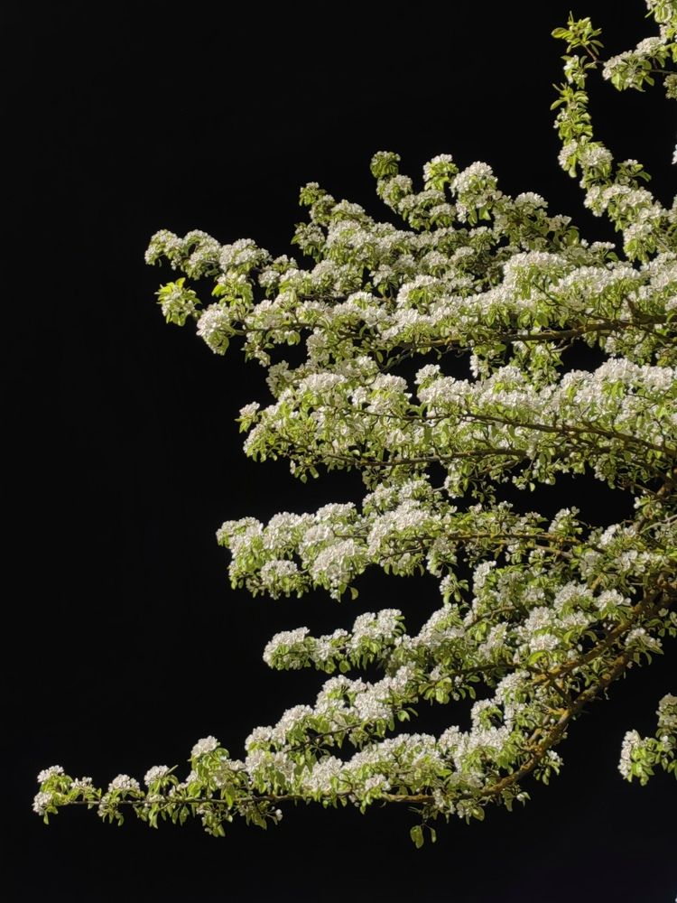 Photograph by Полина Мальцева