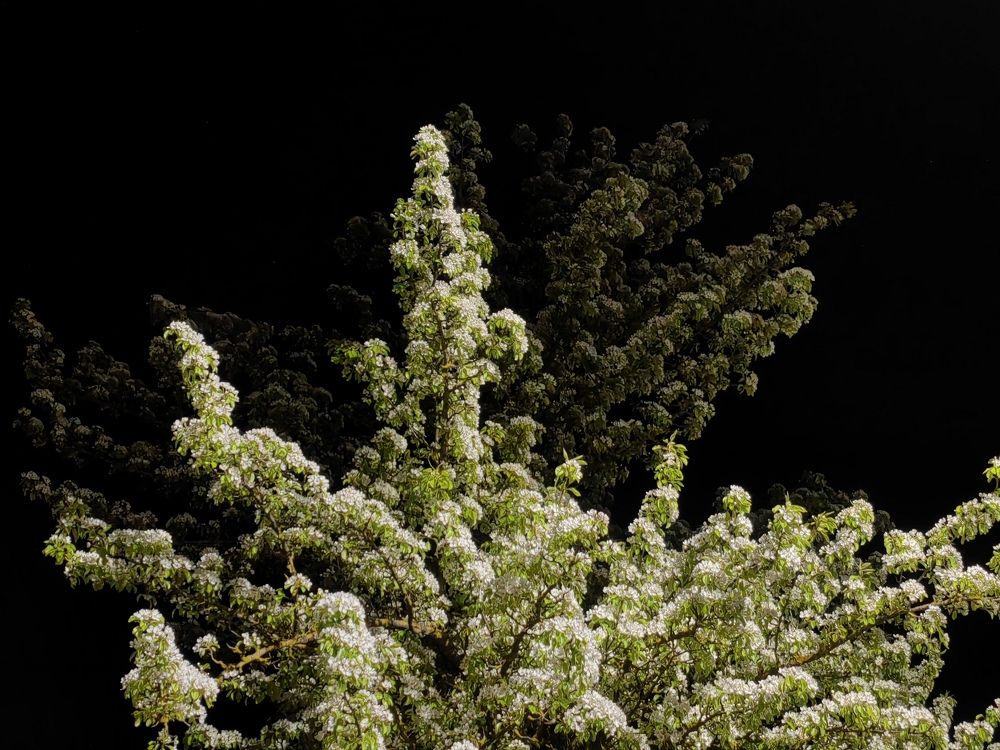 Photograph by Полина Мальцева