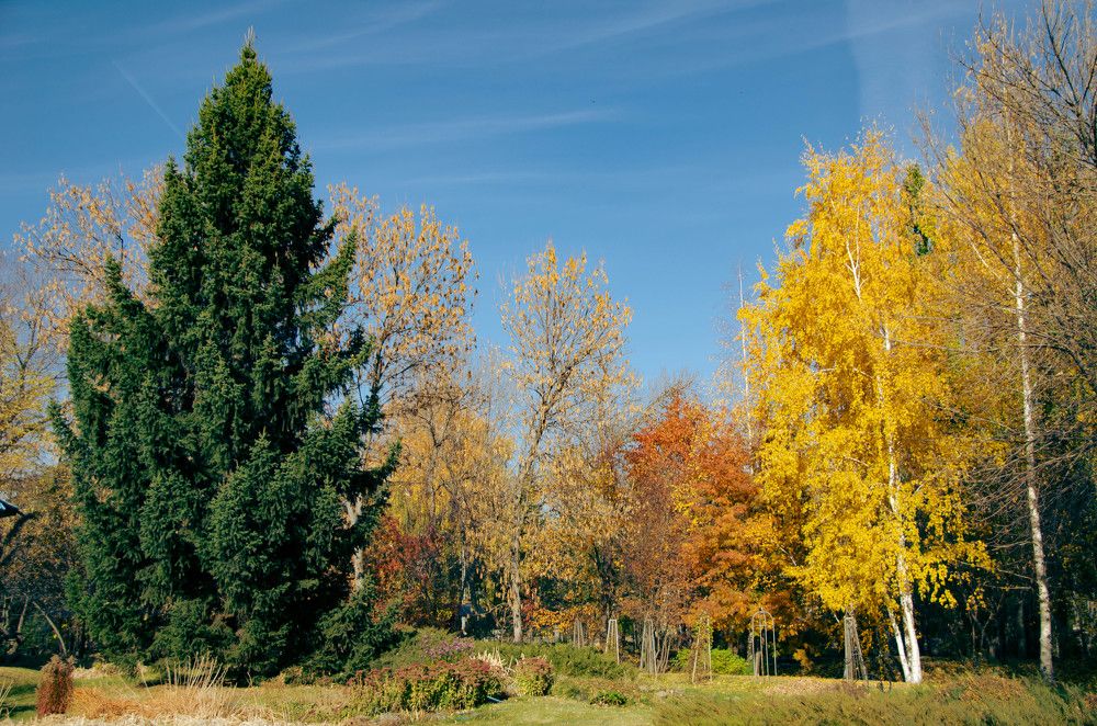 Photograph by Дмитрий Потапов