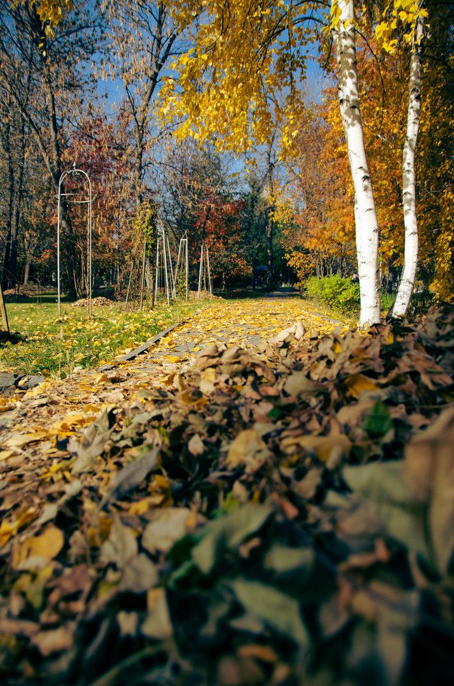 Photograph by Дмитрий Потапов