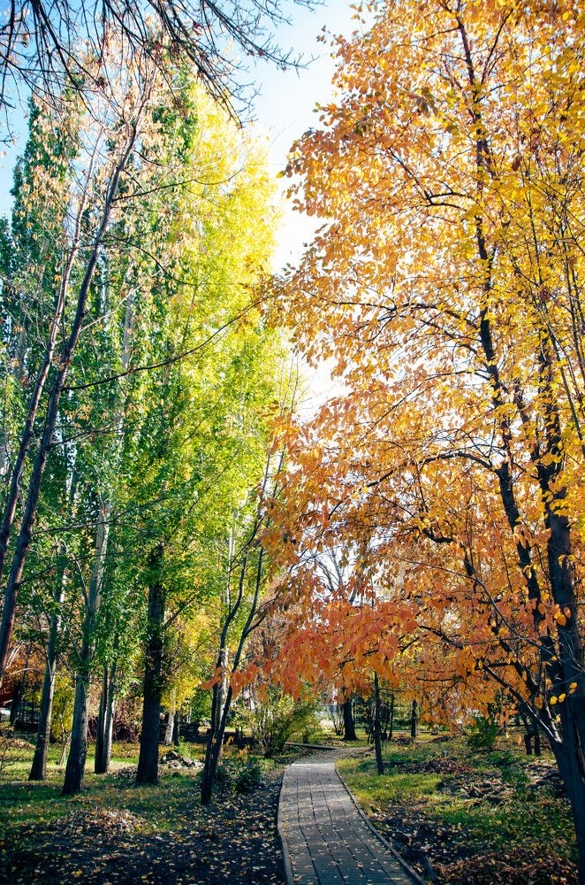 Photograph by Дмитрий Потапов