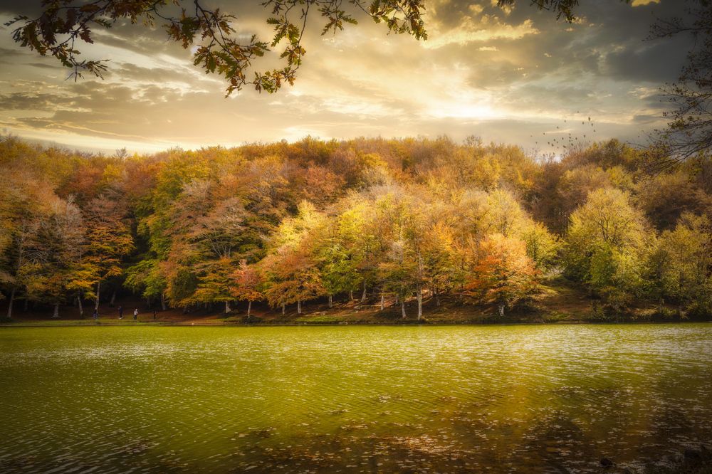 Vibrazioni autunnali.