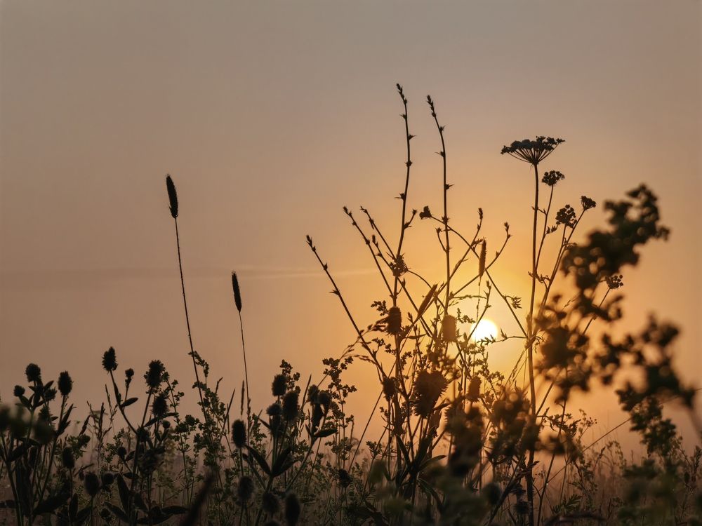 Photograph by Ольга Третьякова