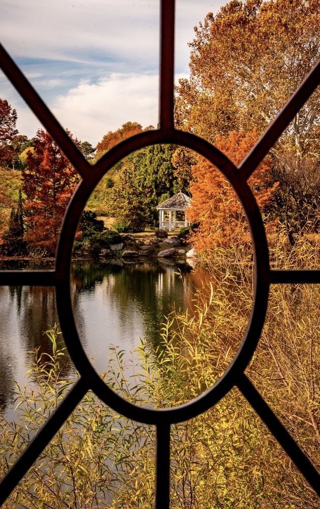 Photograph by Lisa Watkins