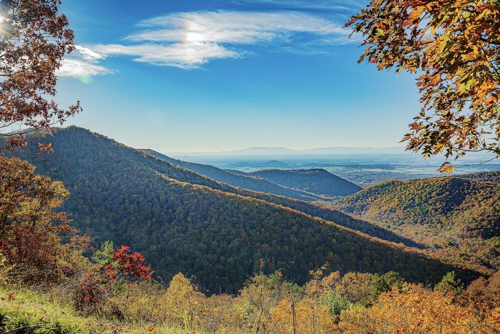 Photograph by Lisa Watkins