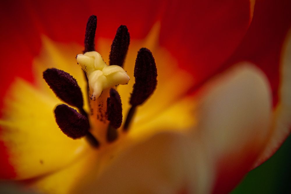 Photograph by Игорь Овсиенко