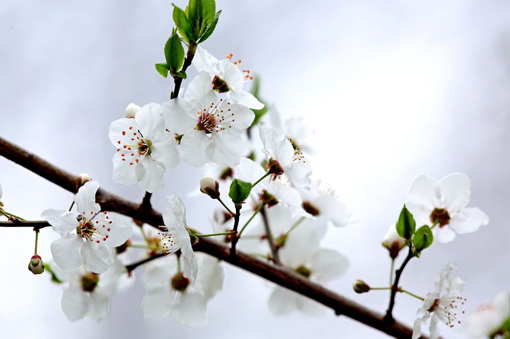 Photograph by Александр Глебов