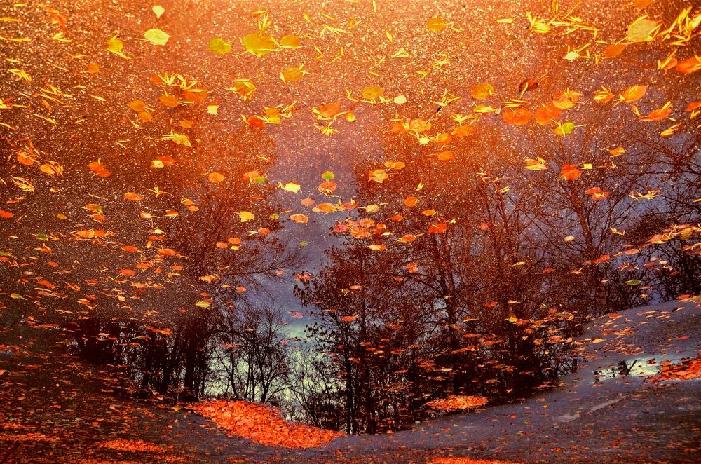 Photograph by Наталья Иванова