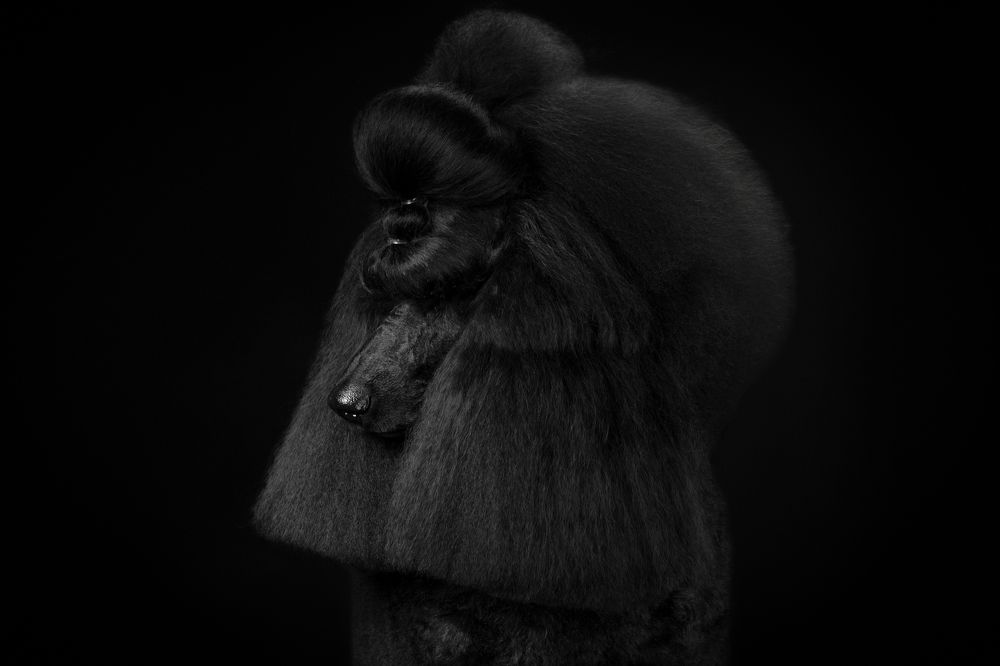 Фотография автора Ляйс Наталья