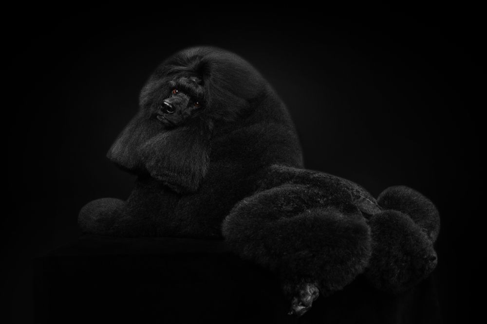 Photograph by Ляйс Наталья