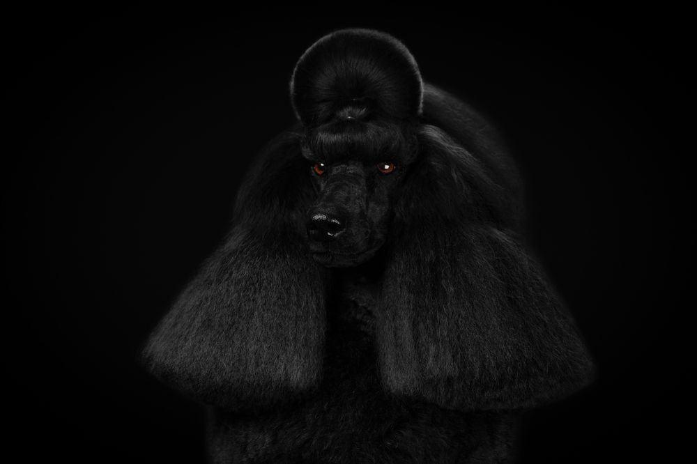 Photograph by Ляйс Наталья