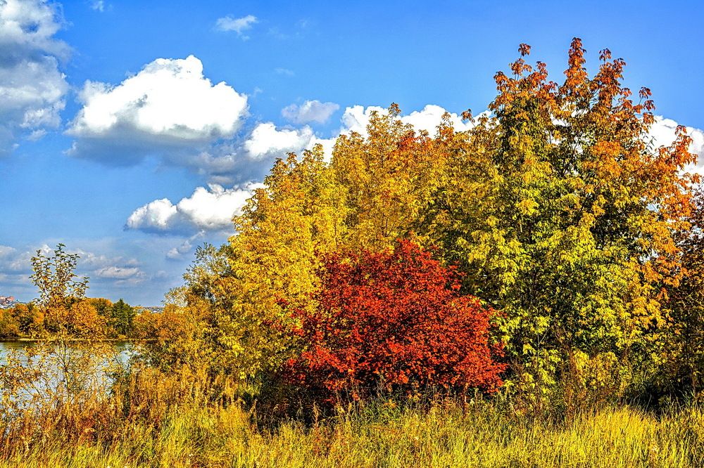 Photograph by Юрий Назыров