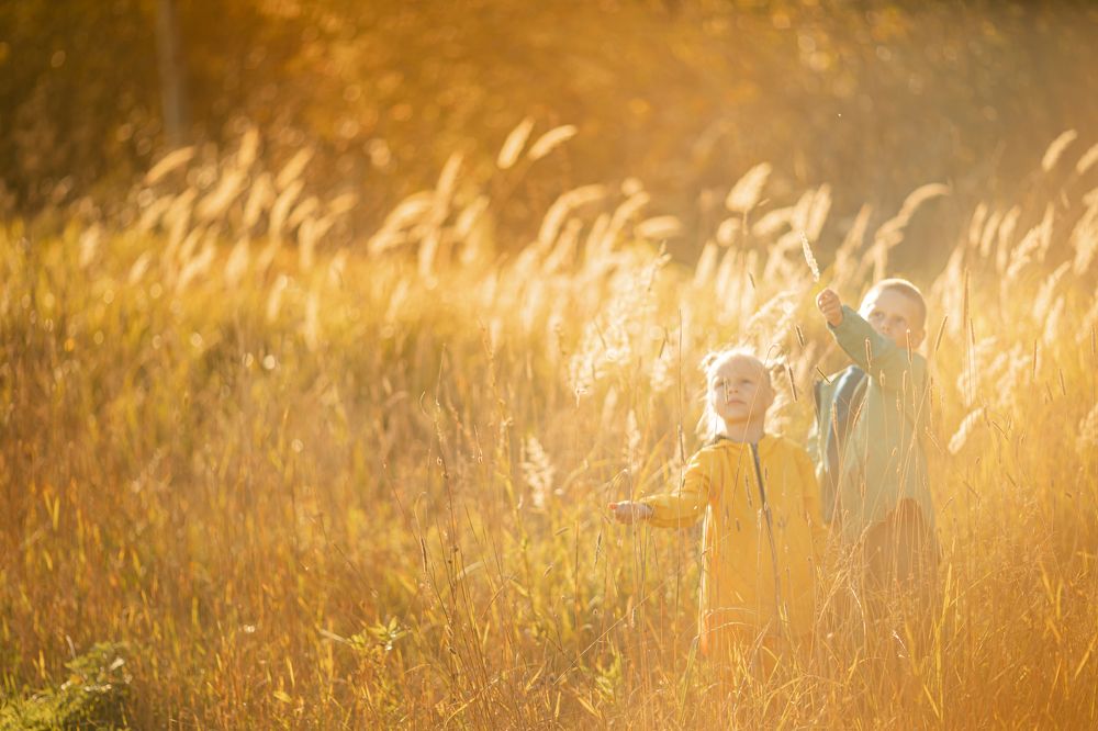 Photograph by Елена Гребенщикова