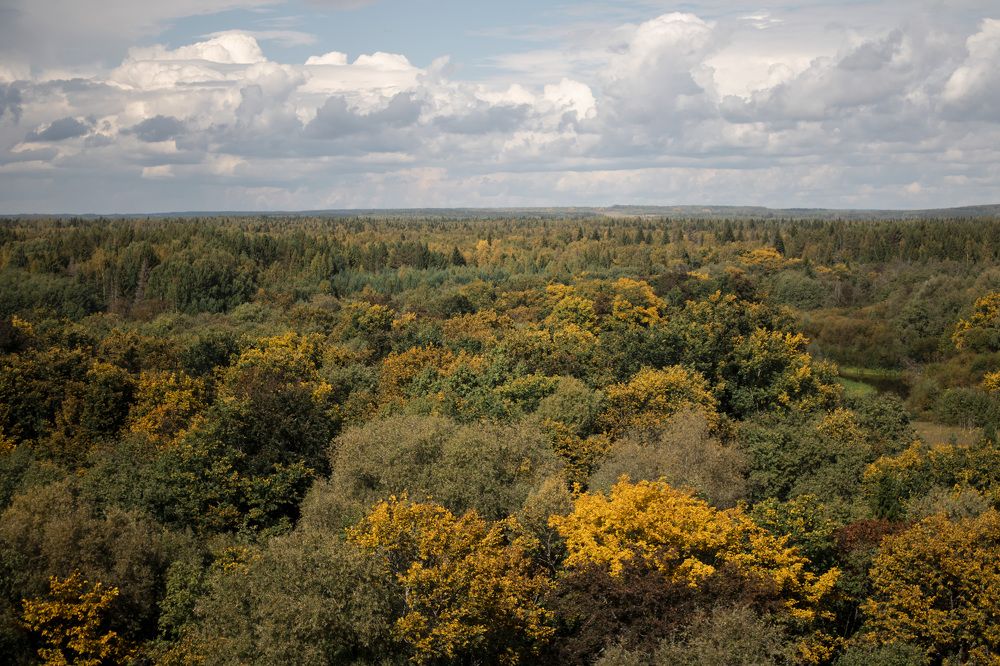 Photograph by Мария Кириллова