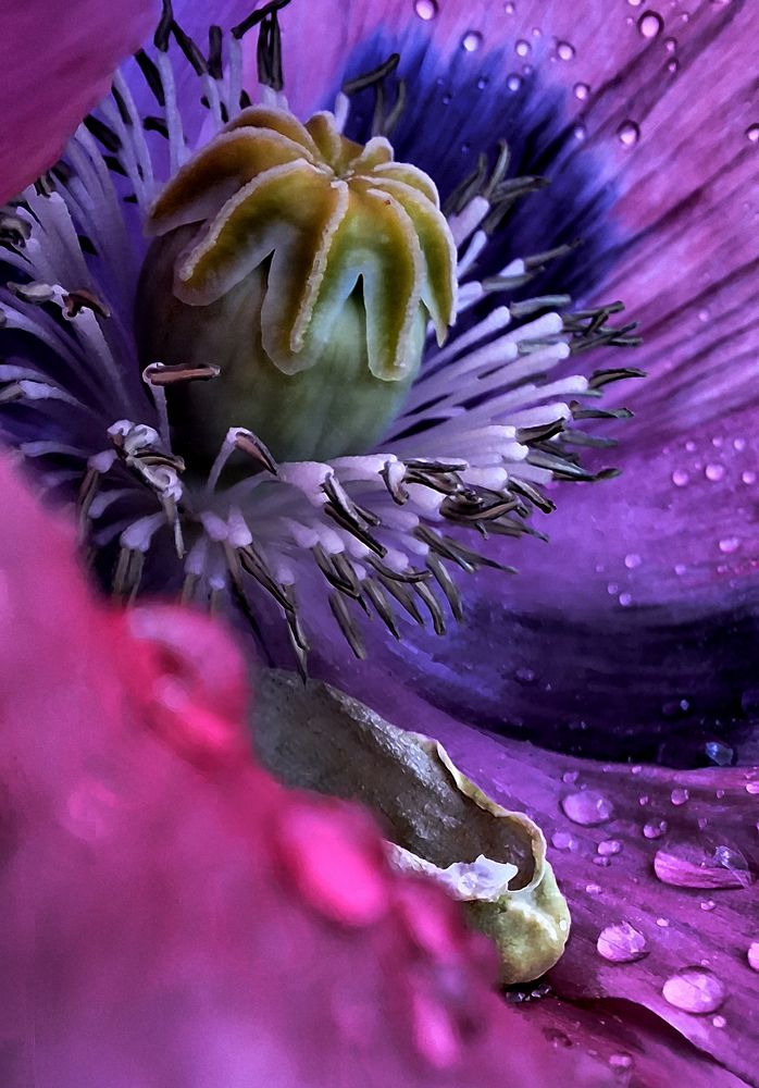 Photograph by Игорь Овсиенко