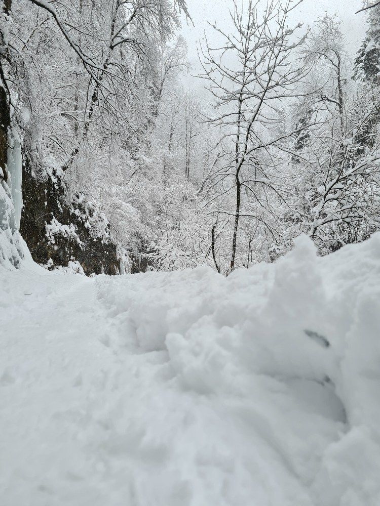 Photograph by Наталья Каплина