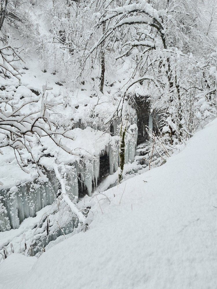 Photograph by Наталья Каплина