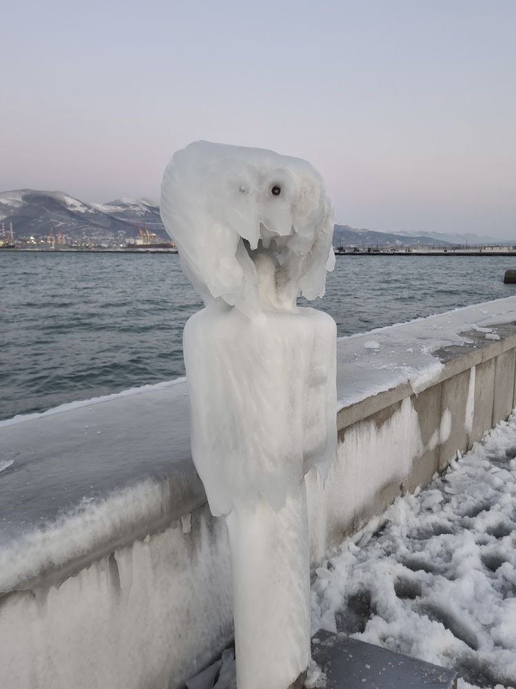 Photograph by Наталья Каплина