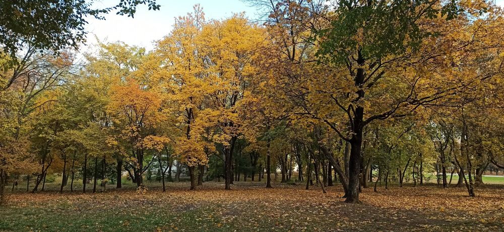 Photograph by Виорика Фоменко